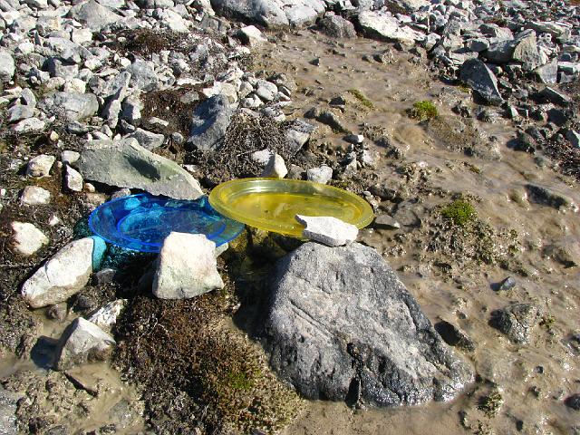 longyearbyen_8thjuly_jmb 072.jpg - ... assiettes remplies d'alcool pour capturer les insectes volants ...